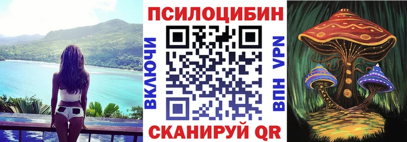 Галлюциногенные грибы Psilocybe  ОМГ ОМГ   Зарайск 
